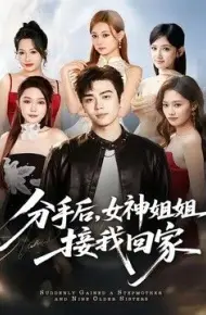 分手后，女神姐姐接我回家