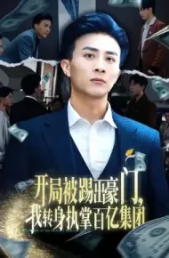 开局被踢出豪门,我转身执掌百亿集团