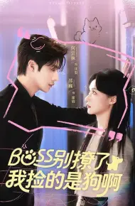 Boss别撩了,我捡的是狗呀