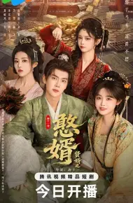 憨婿