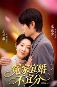 冤家宜婚不宜分