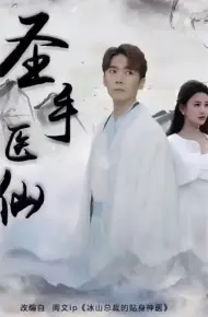 圣手医仙