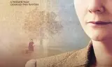 橙子与阳光