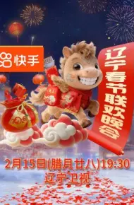 辽宁春节联欢晚会2026