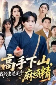 高手下山，我的老婆是个麻烦精