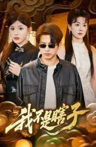 我不是瞎子