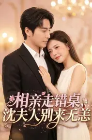 相亲走错桌，沈夫人别来无恙