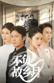 不负故乡月