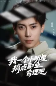我一个小明星，搞点副业合理吧