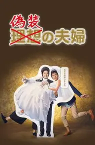 伪装夫妇2015