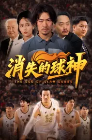 消失的球神
