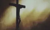 风之所向