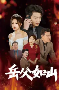 岳父的礼物