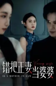 错把正妻当婆婆