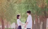 致美丽的我们