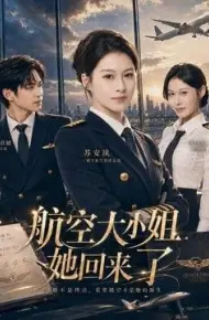 航空大小姐她回来了