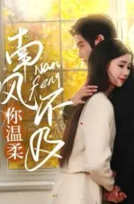 南风不及你温柔