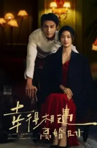 幸得相遇离婚时