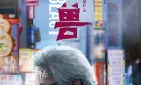 老兽