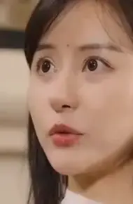 继承者的荣耀