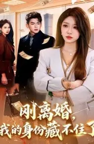 刚离婚，我的身份藏不住了