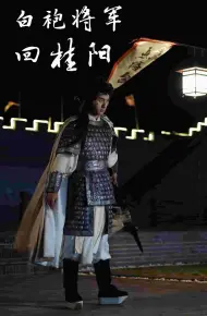白袍将军回桂阳