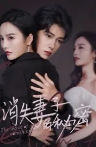 消失妻子的秘密