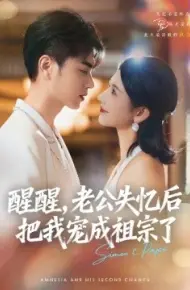 醒醒,老公失忆后把我宠成祖宗了
