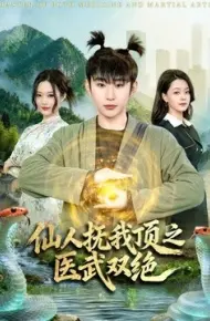 仙人抚我顶之医武双绝