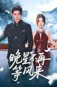 晚星不再等风来