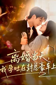 离婚当天,我孕吐在封总豪车上