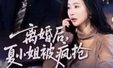 离婚后,夏小姐被疯抢