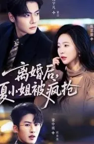 离婚后,夏小姐被疯抢