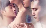 夜孔雀