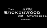 断林镇谜案第十季