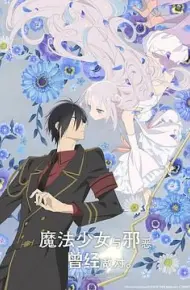 魔法少女与恶曾是敌人