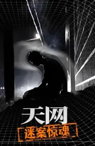 天网:迷案惊魂