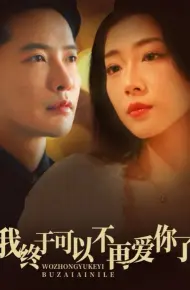 我终于可以不再爱你