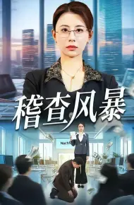 稽查风暴