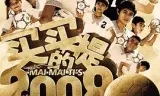 买买提的2008