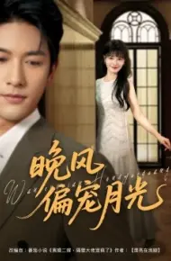 晚风偏宠月光