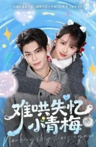 难哄失忆小青梅