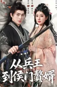 从兵王到侯门赘婿