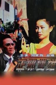 正邪双雄