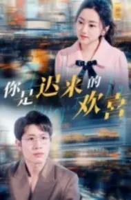 你是迟来的欢喜