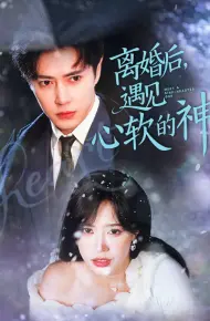离婚后遇见心软的神
