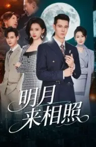明月来相照，裂痕之上的新生