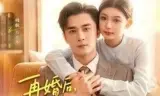 再婚后，顾先生的马甲藏不住了