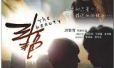 斗艳