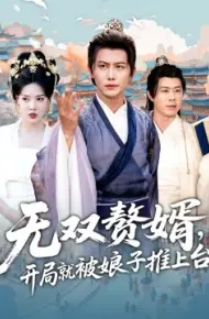 无双赘婿，开局就被娘子推上台